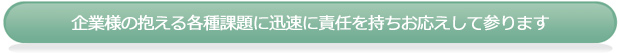 企業様の抱える各種課題に迅速に責任を持ちお応えして参ります